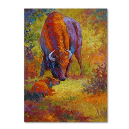 Marion Rose 'Bull' Canvas Art,14x19